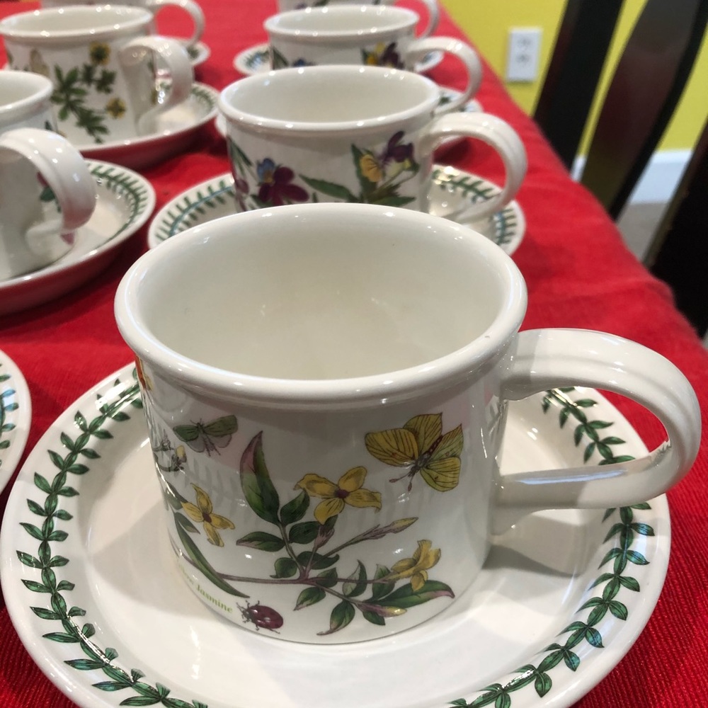 The Botanic Garden cup and saucer